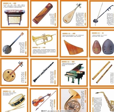 世界乐器博览 扬琴、古筝、小号与琵琶的艺术魅力